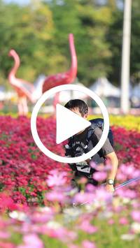 BIB:  <button type="button" onclick="openModal(27583634)" class="btn btn-primary btn-sm float-right" data-toggle="modal" data-target=".modal-high-quality">
                <i class="fa fa-download"></i> Download
                </button>